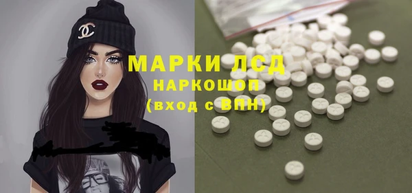 индика Алзамай