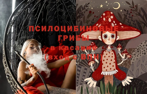 индика Алзамай