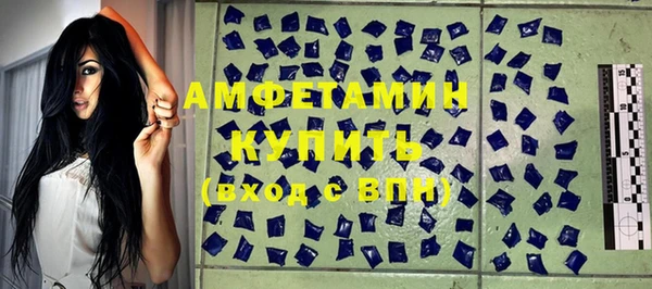 индика Алзамай